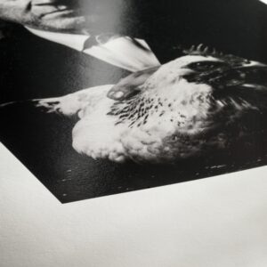 Hahnemühle Photo Rag Baryta - 315gsm - Image 3