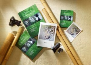Hahnemühle Bamboo - 290gsm - Image 4