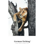 Hahnemühle German Etching - 310gsm