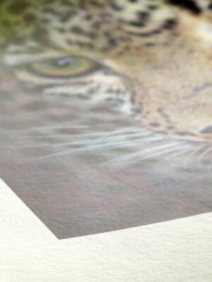 Hahnemühle Bamboo - 290gsm - Image 2