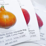 Giclee Paper & Canvas Samples (They're FREE!)